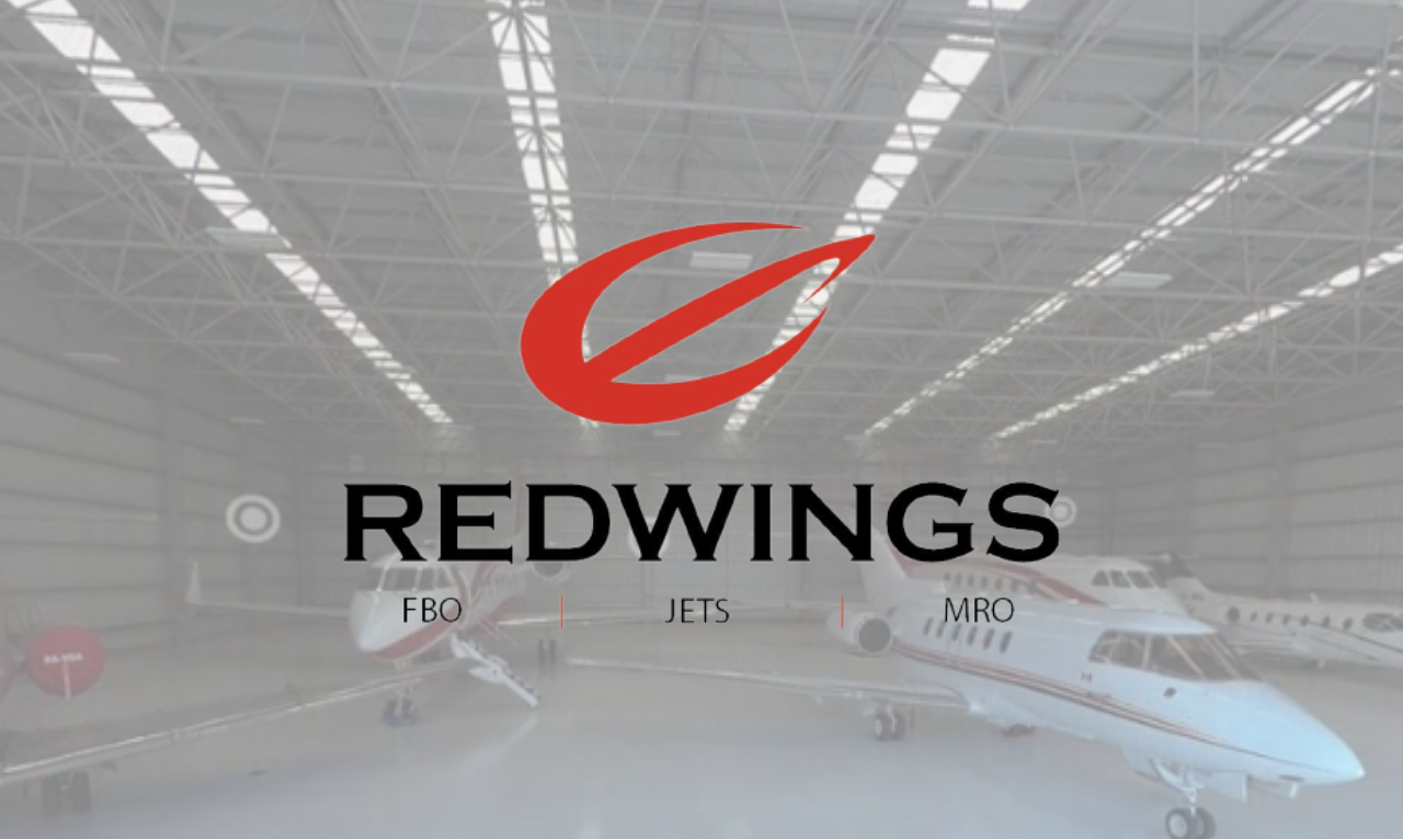 redwings (21)
